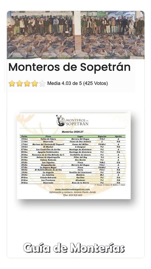 Programas de Monterias